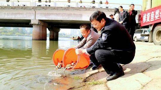 黄岩长潭水库现长约2米奇怪大鱼 专家确认后这样说